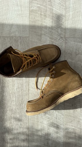 Red wing olive - wing, mohave