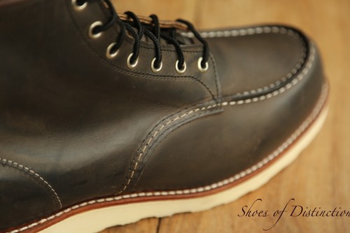 Redwing red wing - redwing, brown