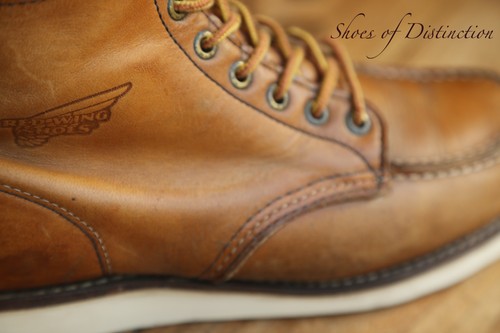 Redwing red wing - redwing,
