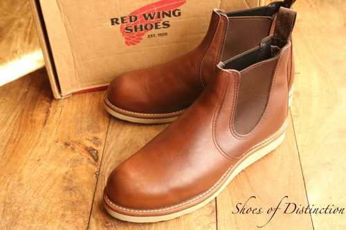 Redwing red wing - wing, brown