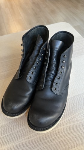 Red wing irish setter - irish, dog