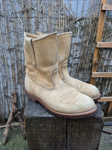 Redwing pecos hawthorn - redwing,